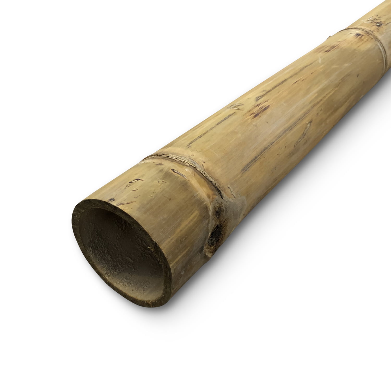 Bambusstange Hennie Ø 10-14 x 400 cm - Eviro Bambus