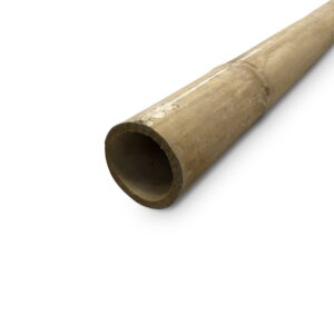 Bambusstange Natur - Ø 5-7 x 200 cm - Eviro Bambus
