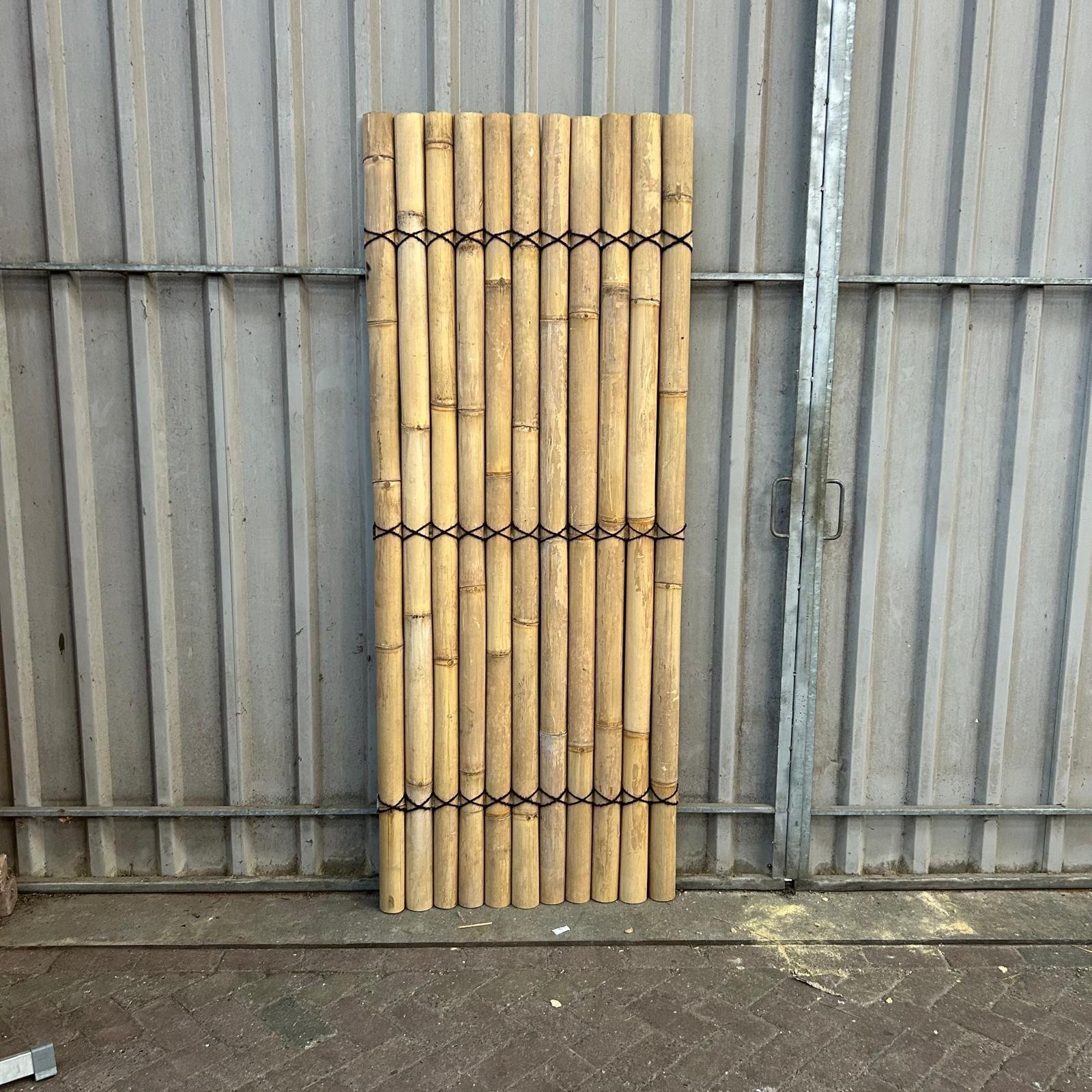 Outlet - Bambuszaun halbrund - 90 x 220 cm - Natur - Eviro Bambus