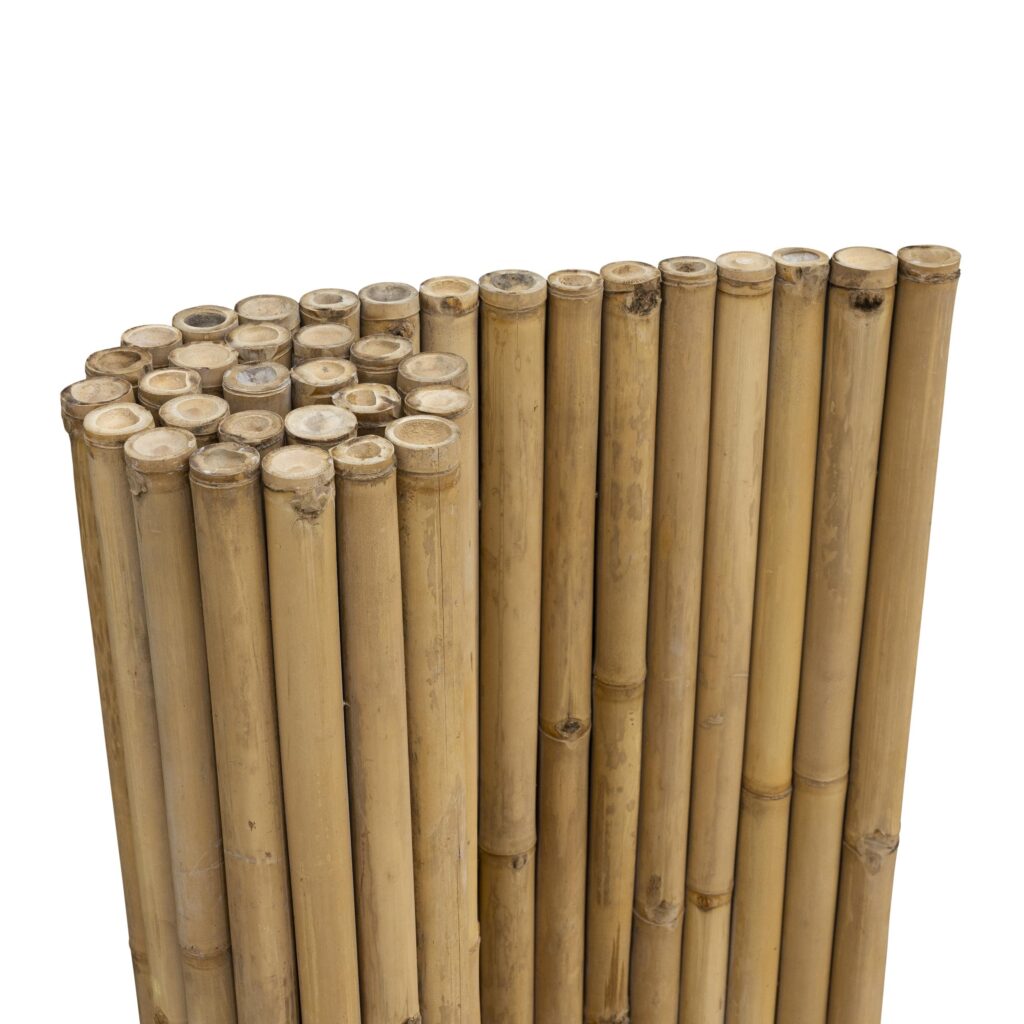 Bambusmatte Giant - 180 x 180 cm - Natur - Eviro Bambus