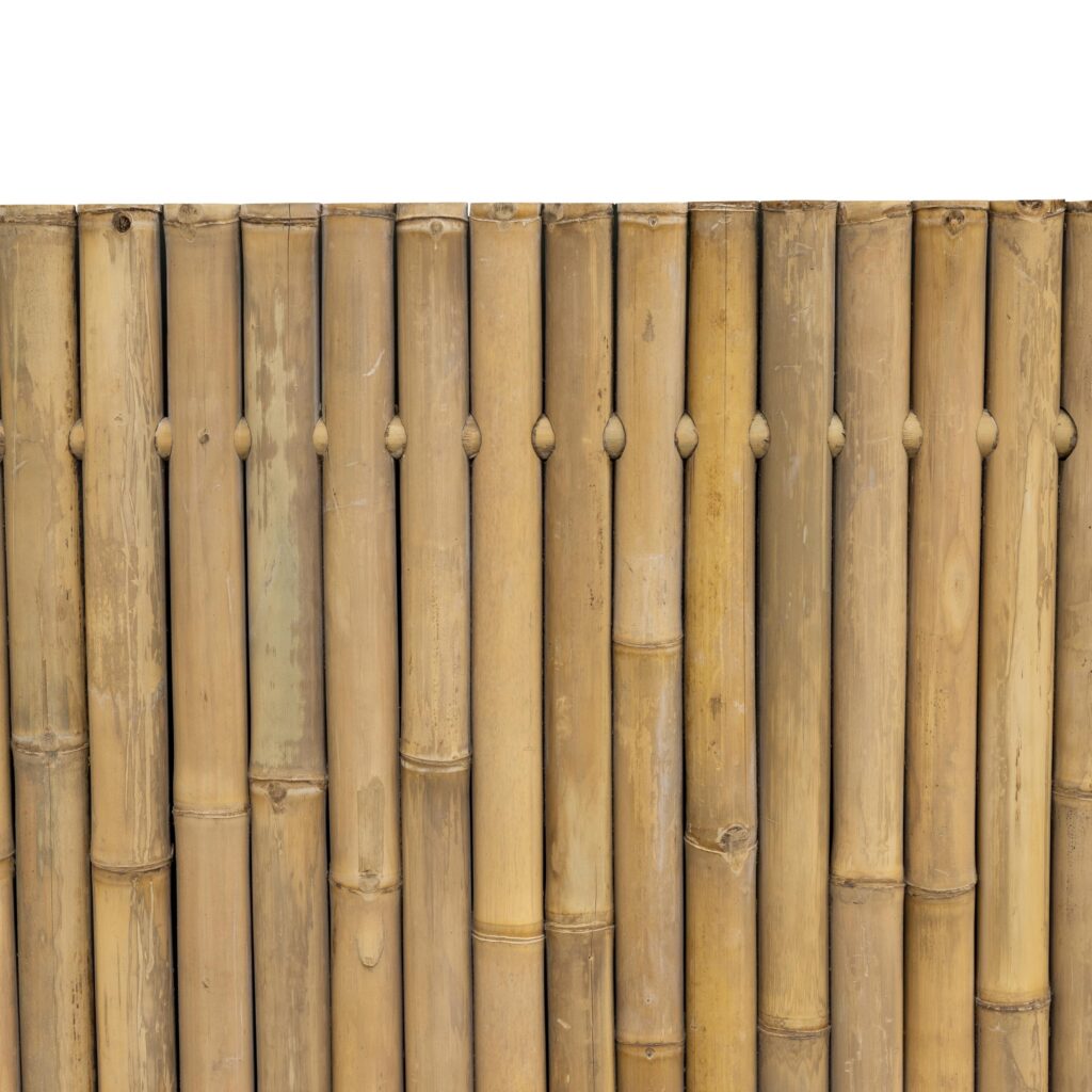 Bambuszaun - 180 x 200 cm - Natur - Eviro Bambus