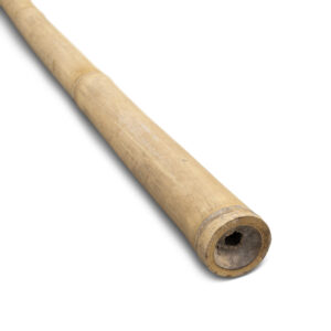 Bambusstange Natur - Ø 5-7 x 300 cm - Eviro Bambus