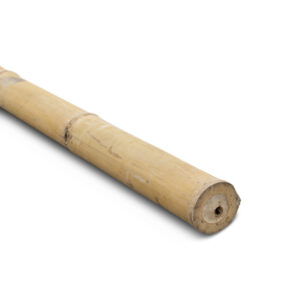 Bambusstange Giganteus - Ø9-11 x 400 cm - Natur - Eviro Bambus
