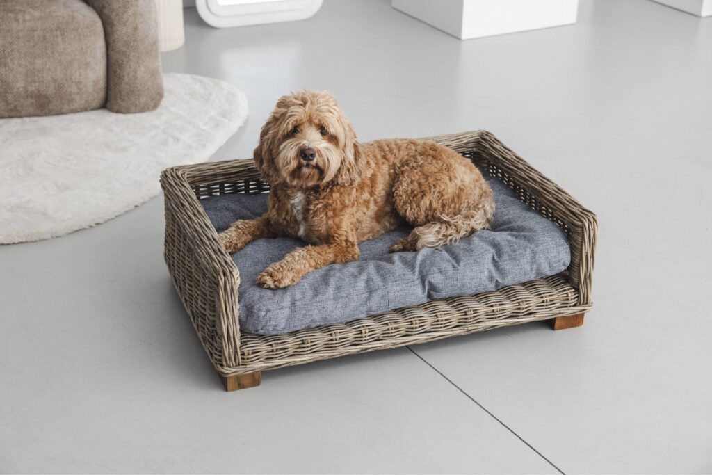 Rattan-Hundekorb Rechteckig - 70 cm lang - Naturgrau - PVB Collection