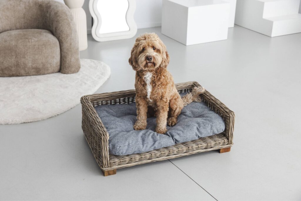 Rattan-Hundekorb Rechteckig - 70 cm lang - Naturgrau - PVB Collection