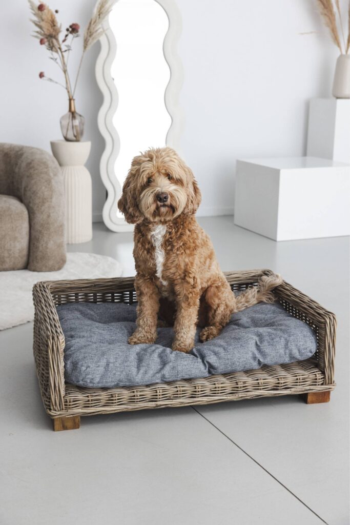 Rattan-Hundekorb Rechteckig - 90 cm lang - Naturgrau - PVB Collection