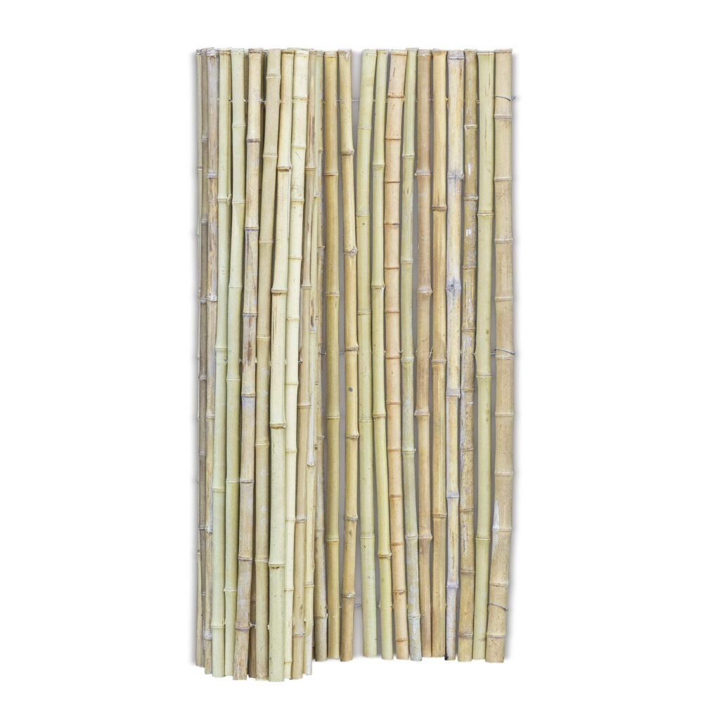 Bambusmatte Moso - 180 x 120 cm - Natur - Eviro Bambus