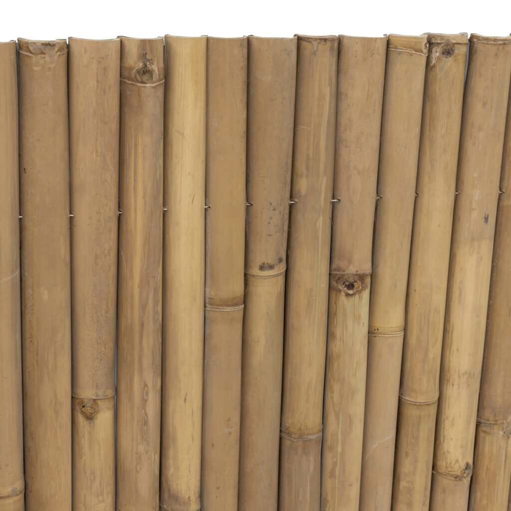 Halbrunde Bambusmatte Giant – 180 x 100 cm – Natur – Eviro Bambus